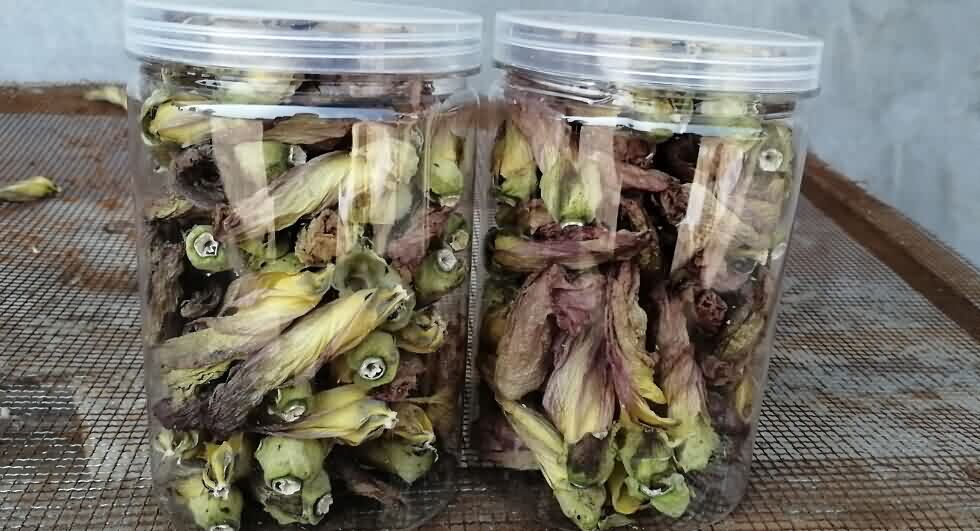 5d832cef8caa6.jpg 5d832cef8caa6.jpg